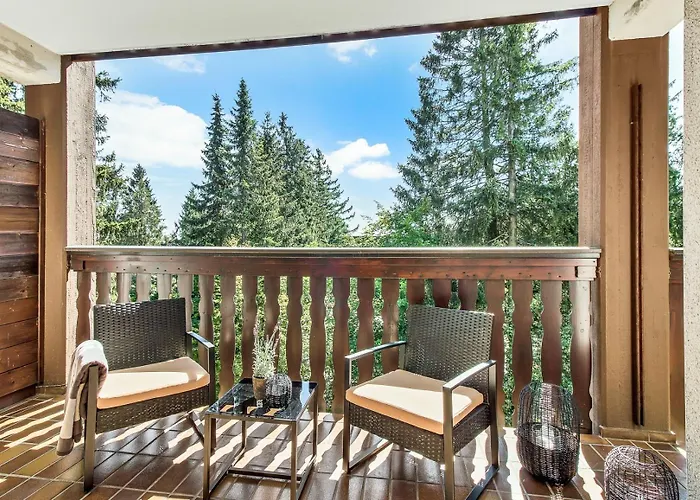 2 Bedroom Tokio And Sauna, 100m To And Bikepark Winterberg